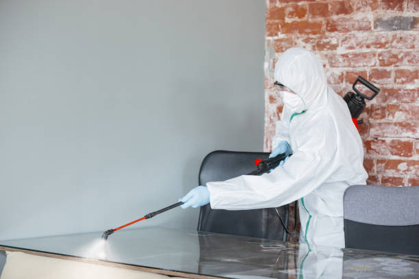 Best Industrial Mold Remediation  in Minier, IL