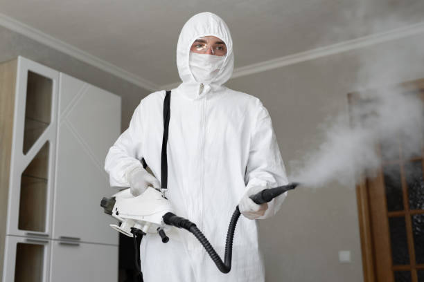 Biohazard Mold Removal in Minier, IL